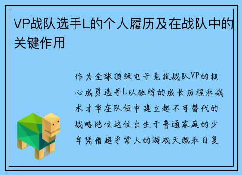VP战队选手L的个人履历及在战队中的关键作用