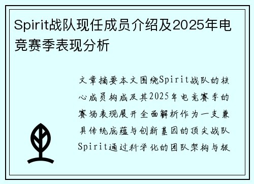 Spirit战队现任成员介绍及2025年电竞赛季表现分析